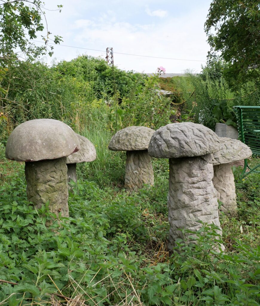 Liivakivist aiaseened, kood M033, foto nr 1